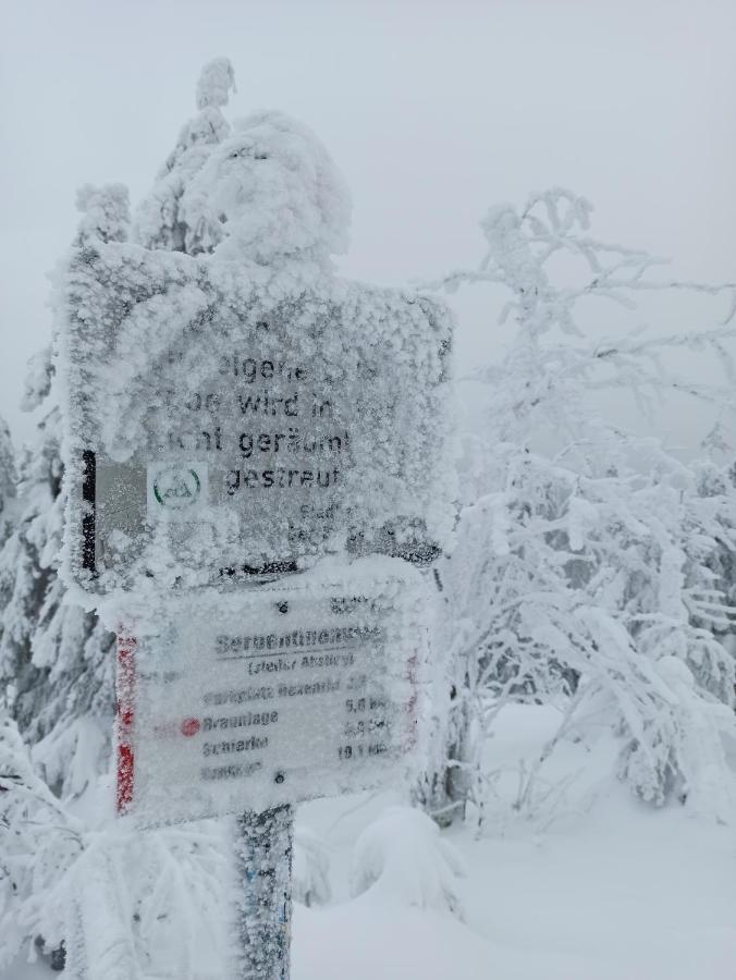 Walpurgis Hexe Apartman Braunlage Kültér fotó