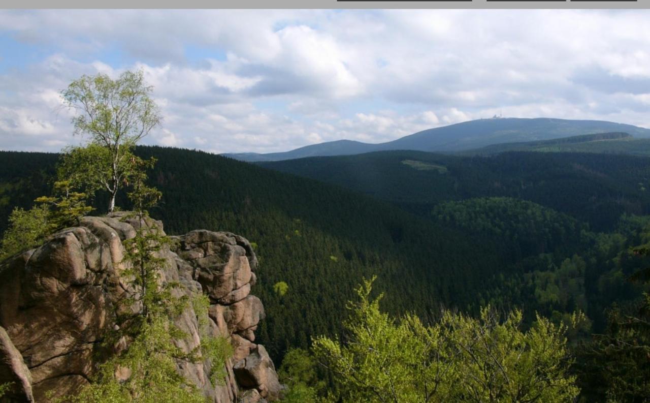 Walpurgis Hexe Apartman Braunlage Kültér fotó