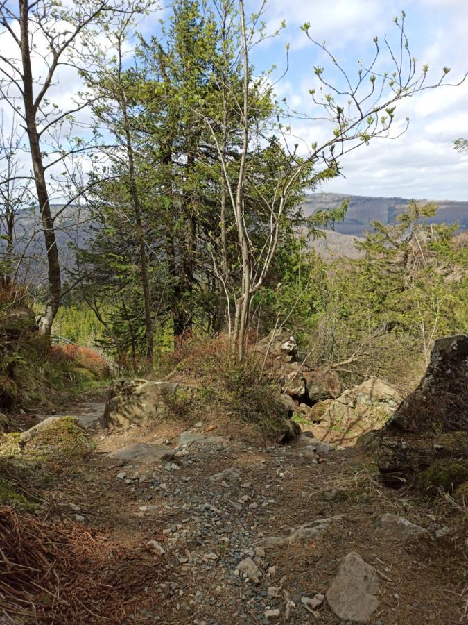 Walpurgis Hexe Apartman Braunlage Kültér fotó